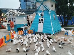 -大族广场Mall&More