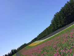 iphone_upload_pic-富田农场