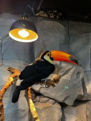 -Zoolung Zoolung动物主题公园(海信广场店)