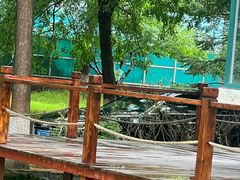 -秦皇岛野生动物园