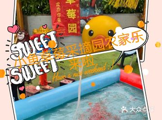 六一溜娃|可以摘草莓捞鱼的亲子乐园
