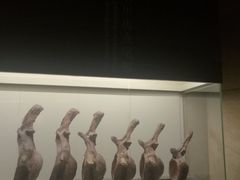 -世界恐龙谷景区