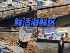 -盒马X会员店(王府井奥莱UP TOWN店)