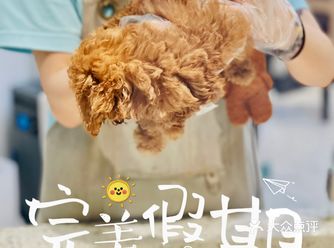 猫猫~狗狗~哪个你更喜欢呢