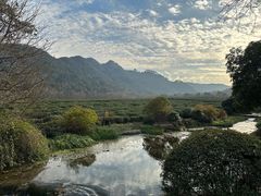 -中国茶叶博物馆(双峰馆区)