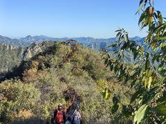 -大岭沟猕猴桃谷风景区