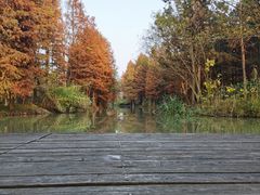 -西溪国家湿地公园
