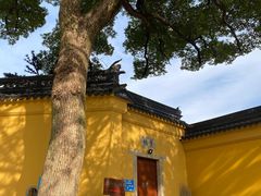 -灵岩山风景区