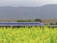 -光明小镇欢乐田园