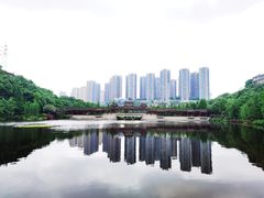 -重庆彩云湖湿地公园