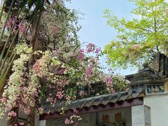 -深圳国际园林花卉博览园