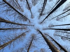 -南京金牛湖风景区