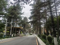-中国科学院长春应用化学研究所(海航紫荆花饭店西北)