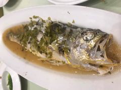 -高佳庄·舟山海鲜(海景旗舰店)