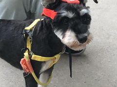 -瑞鹏宠物医院·爱宠堂(环西分院)