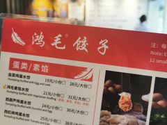 -鸿毛饺子(紫竹桥店)