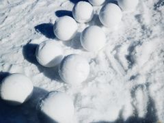 -绿野森林乐园冰雪季