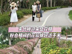 -南宁南湖公园