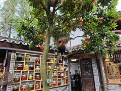 -青城甲(青城山店)