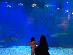 -华夏文旅海洋公园