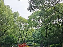 -新洲生态园