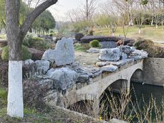 -羊山湖公园