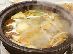 -蜀皇·菌汤鲜黄牛肉汤锅(宽窄巷子店)