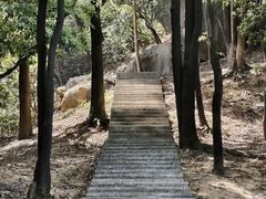-火炉山森林公园