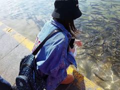 -青海湖国家重点风景名胜区售票处