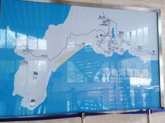 -广东惠东海龟国家级自然保护区