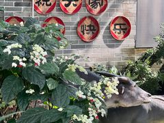 景观位-周大娘牛乳(旧寨古村总店)