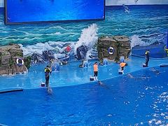 -多彩贵州城极地海洋世界