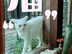 -Local泰莲庭(虹鳟鱼店)