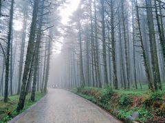-石棉县孟获城