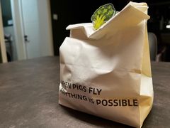 -WHEN PIGS FLY当猪飞