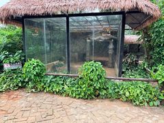 -海南热带野生动植物园