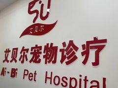 -艾贝尔宠物诊疗