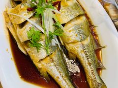 油泼黄花鱼-鲜小岛·铜锅涮肉