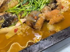 -听涛雅苑百味饺子老家菜馆