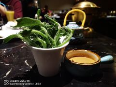 南极冰菜-半岛翡丽海鲜自助餐厅(观风亭店)