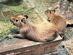 -波塞冬海底世界