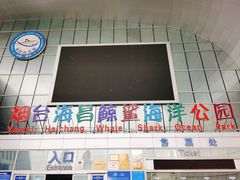 -烟台海昌鲸鲨海洋公园