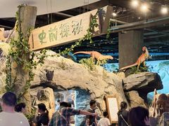 -陕西自然博物馆