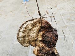 -敬亭山风景名胜区