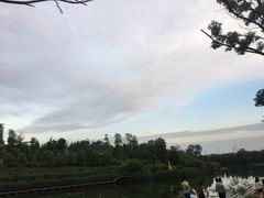 -白鹭湾湿地公园