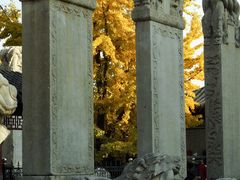-北京石刻艺术博物馆(五塔寺)