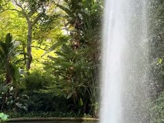 -九龙公园