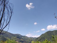 -东白山