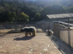 -无锡动物园·太湖欢乐园