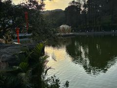 -广州市白云山风景名胜区